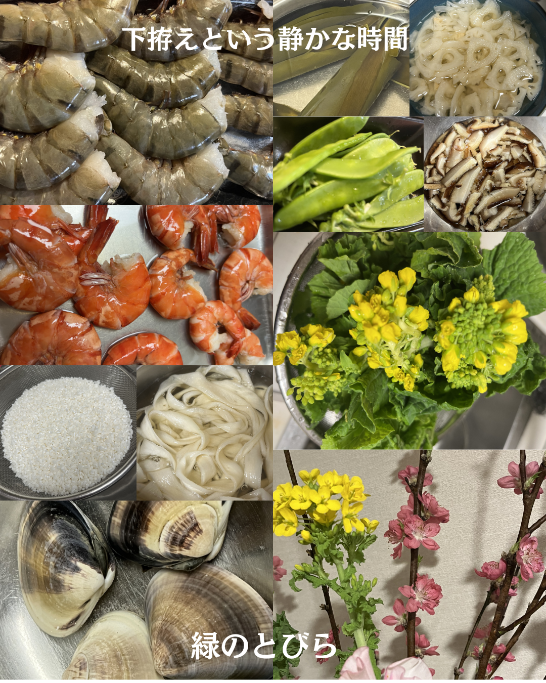 #緑のとびら #アロマテラピースクール #アロマライフコーチング #RosyPath #プランツカウンセリングヒーラー #ローズセラピー #ローズヒーリングセッション #ボタニカルカウンセリング #オンラインレッスン #魔法の庭 #植物のある暮らし #無農薬薔薇 #薔薇 #メディカルハーブ #アロマ #愛と癒し #心穏やか #香りのある暮らし #芸術のある暮らし #美しさに囲まれて #リラックス #癒しの時間 #ハーブ #ベランダガーデニング