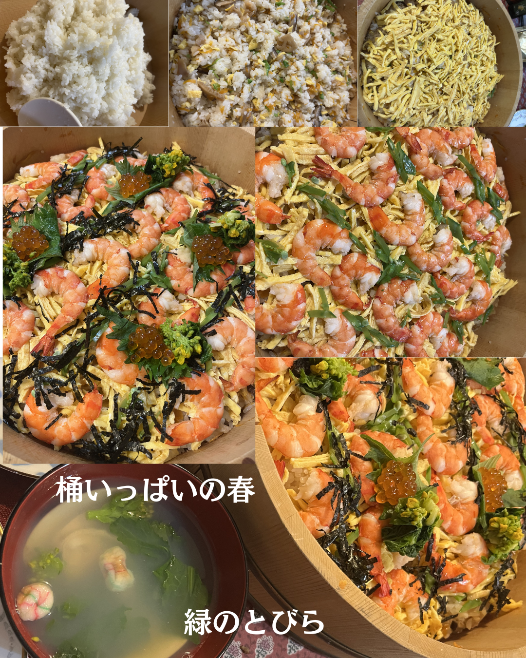 #緑のとびら #アロマテラピースクール #アロマライフコーチング #RosyPath #プランツカウンセリングヒーラー #ローズセラピー #ローズヒーリングセッション #ボタニカルカウンセリング #オンラインレッスン #魔法の庭 #植物のある暮らし #無農薬薔薇 #薔薇 #メディカルハーブ #アロマ #愛と癒し #心穏やか #香りのある暮らし #芸術のある暮らし #美しさに囲まれて #リラックス #癒しの時間 #ハーブ #ベランダガーデニング