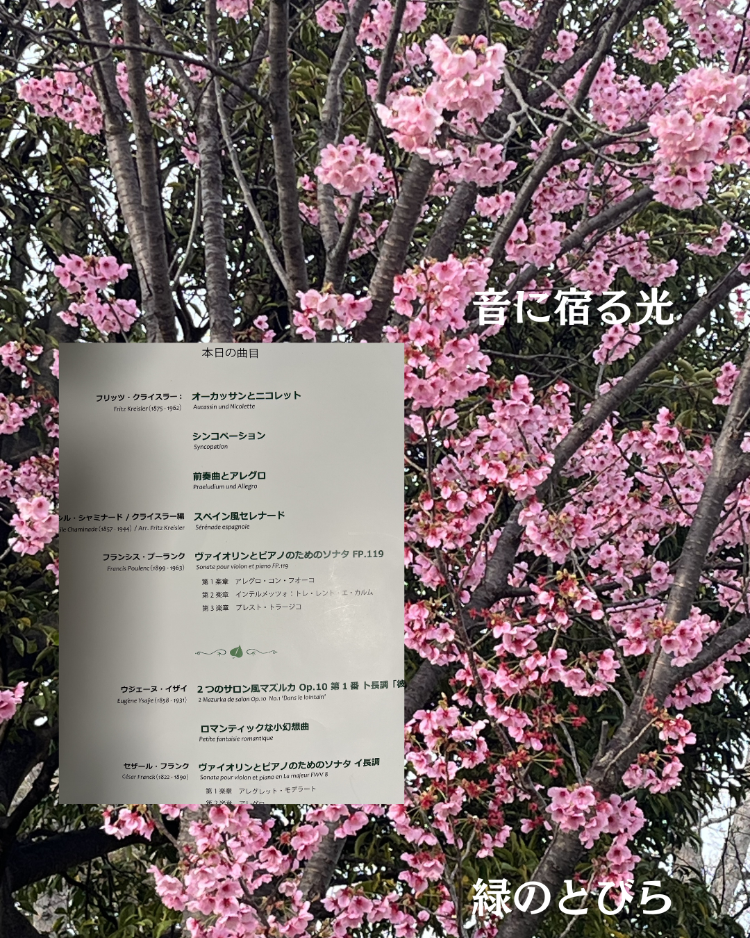 #緑のとびら #アロマテラピースクール #アロマライフコーチング #RosyPath #プランツカウンセリングヒーラー #ローズセラピー #ローズヒーリングセッション #ボタニカルカウンセリング #オンラインレッスン #魔法の庭 #植物のある暮らし #無農薬薔薇 #薔薇 #メディカルハーブ #アロマ #愛と癒し #心穏やか #香りのある暮らし #芸術のある暮らし #美しさに囲まれて #リラックス #癒しの時間 #ハーブ #ベランダガーデニング