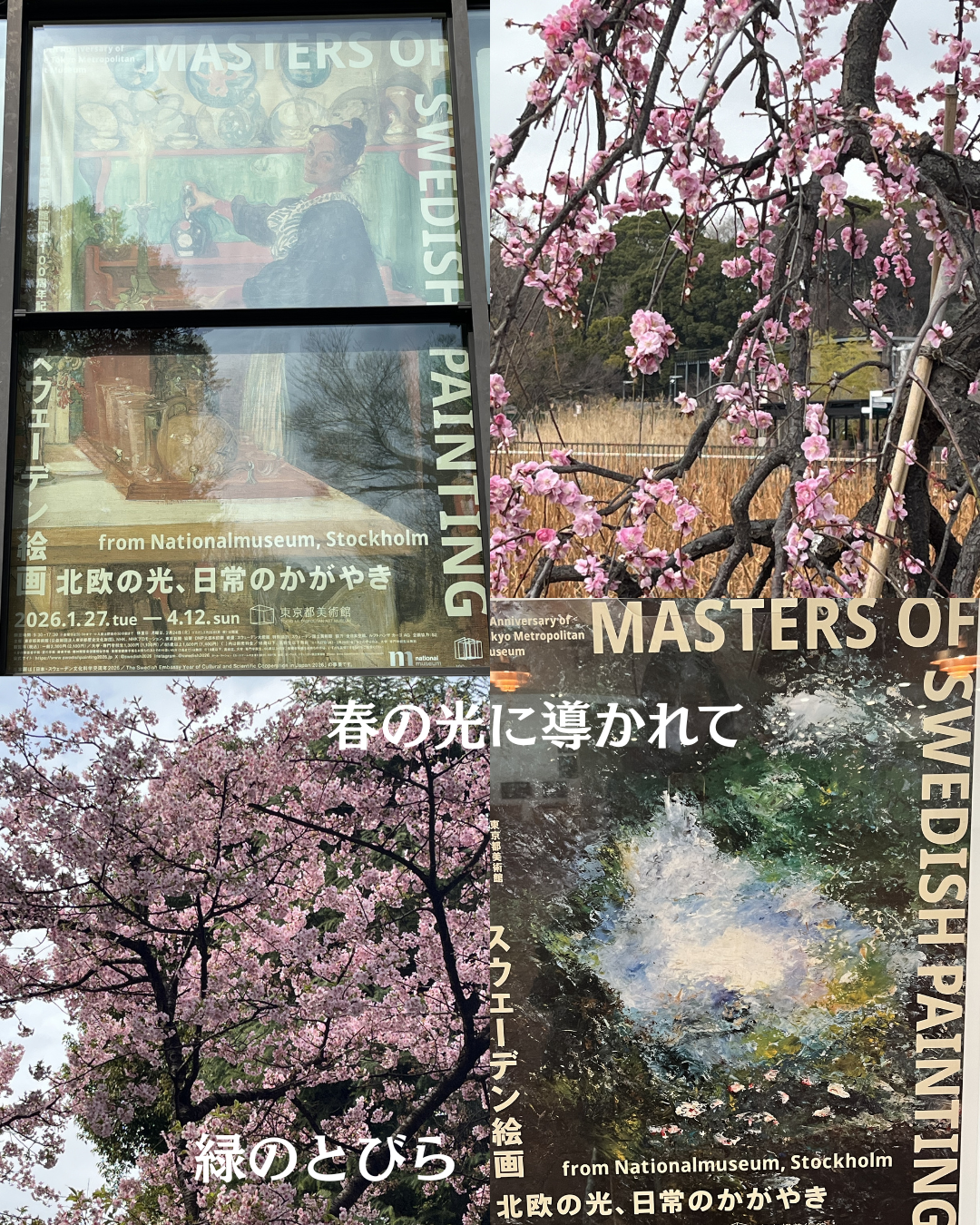 #緑のとびら #アロマテラピースクール #アロマライフコーチング #RosyPath #プランツカウンセリングヒーラー #ローズセラピー #ローズヒーリングセッション #ボタニカルカウンセリング #オンラインレッスン #魔法の庭 #植物のある暮らし #無農薬薔薇 #薔薇 #メディカルハーブ #アロマ #愛と癒し #心穏やか #香りのある暮らし #芸術のある暮らし #美しさに囲まれて #リラックス #癒しの時間 #ハーブ #ベランダガーデニング