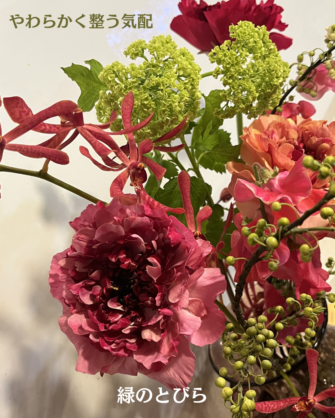 #緑のとびら #アロマテラピースクール #アロマライフコーチング #RosyPath #プランツカウンセリングヒーラー #ローズセラピー #ローズヒーリングセッション #ボタニカルカウンセリング #オンラインレッスン #魔法の庭 #植物のある暮らし #無農薬薔薇 #薔薇 #メディカルハーブ #アロマ #愛と癒し #心穏やか #香りのある暮らし #芸術のある暮らし #美しさに囲まれて #リラックス #癒しの時間 #ハーブ #ベランダガーデニング